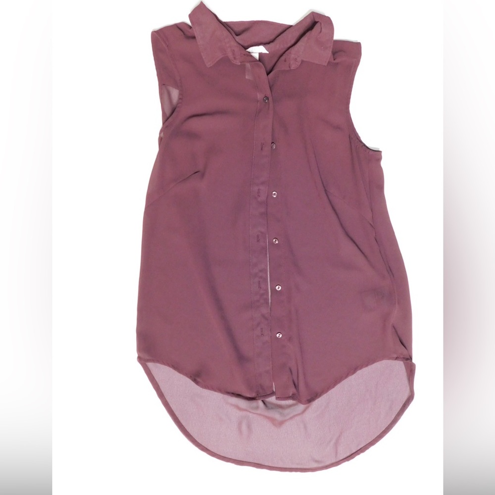 Sheer Burgundy Collared Top ( Small)